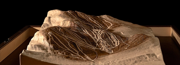 Angled view showing dimensional relief of mountain range