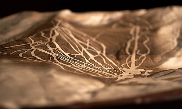 Mount Mansfield wood grain and trail detail